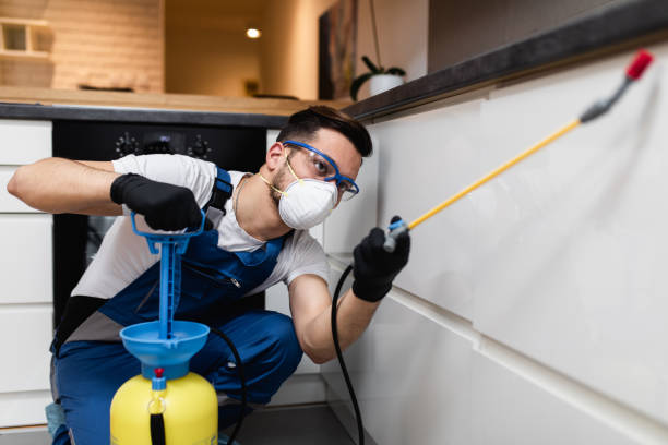 Best Pest Inspection Near Me  in Frankfort, MI