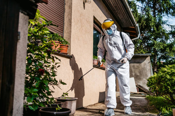 Reliable Frankfort, MI Pest Control Solutions