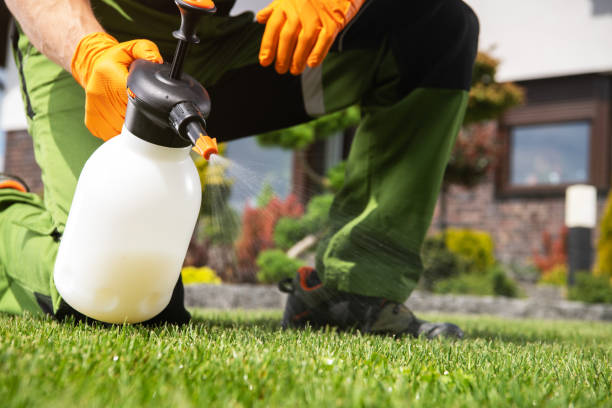 Best Residential Pest Control  in Frankfort, MI