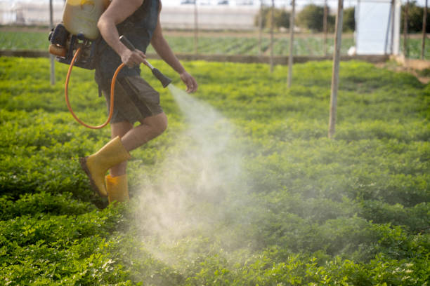 Best Best Pest Control Companies  in Frankfort, MI