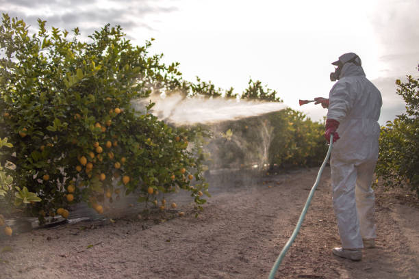 Best Termite Control Services  in Frankfort, MI