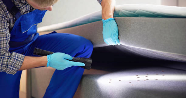 Pest Control Cost in Frankfort, MI