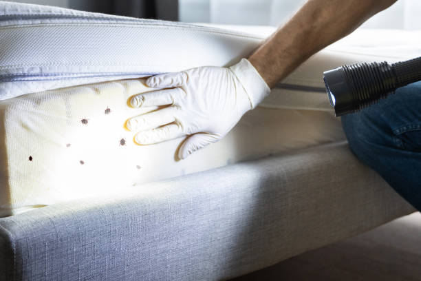 Best Pest Inspection Near Me  in Frankfort, MI