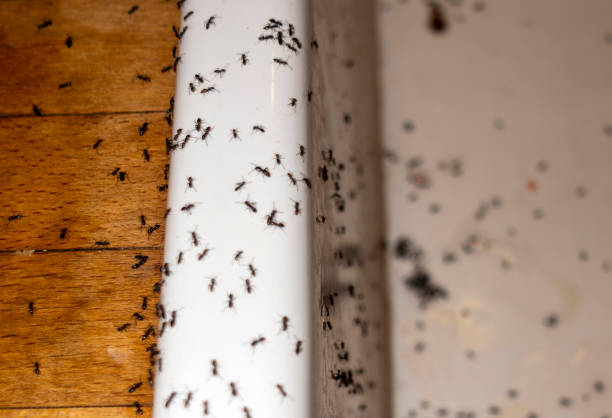 Best Wildlife Control Services  in Frankfort, MI