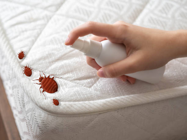 Best Affordable Pest Control Services  in Frankfort, MI