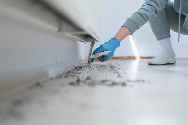 Best Cockroach Control Services  in Frankfort, MI