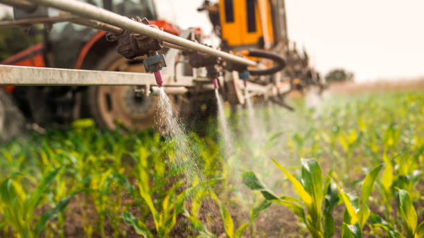 Best Mosquito Control Services  in Frankfort, MI