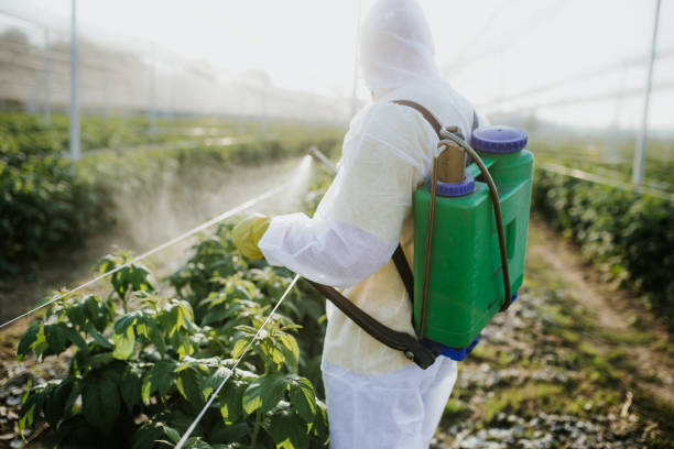 Best Affordable Pest Control Services  in Frankfort, MI